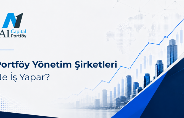 Portföy Yönetim Şirketleri Ne İş Yapar?